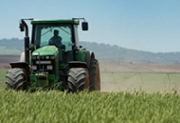 Agriculture